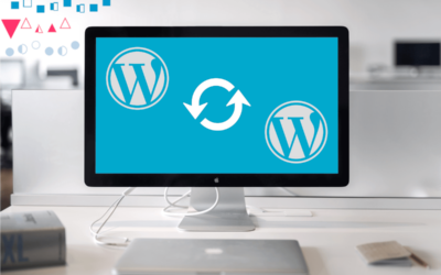 Duplicator Pro: WordPress-Website einfach umziehen!